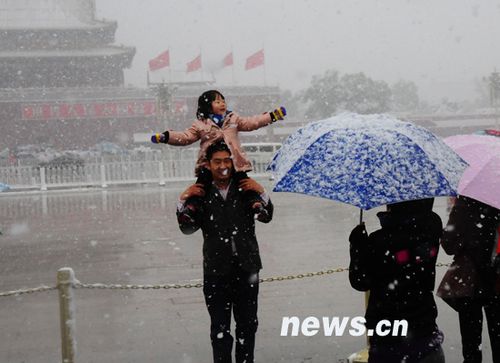 北京受降雪影响部分航班延误 已启动应急预案