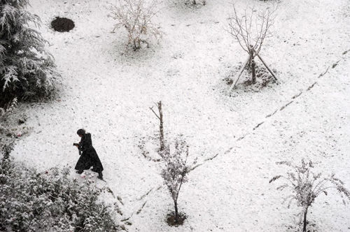 外国媒体称北京11月1日降雪系人工催生