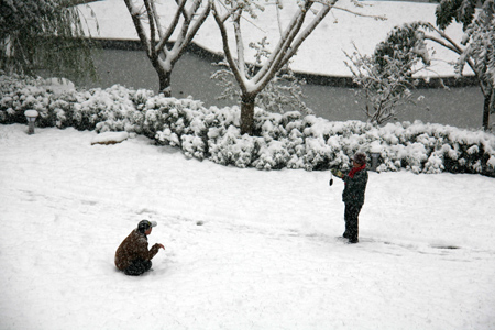 济南迎来今冬首场大到暴雪（图）